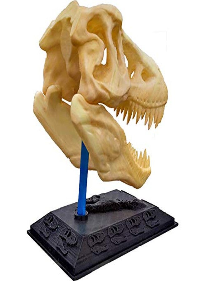 uneeke shape Dinosaur Toy for Kids, Jurassic T Rex Sculpture Theme for Birthday Decoration, Realistic Skull Showpiece Statue with Stand for Home Decor - Image 4
